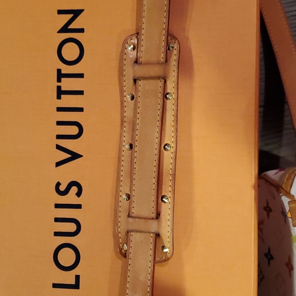Louis Vuitton  Sologne White Multicolor Crossbody - Picture 10 of 16